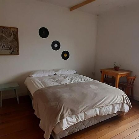 Casa Kila Hostel Valdivia Kültér fotó